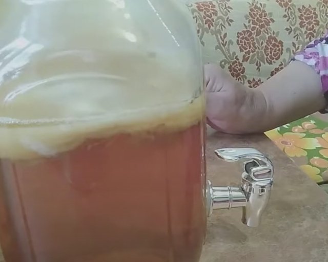 Что такое комбуча и как её приготовить